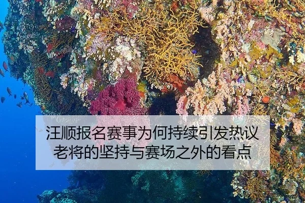 wang-shun-bao-ming-sai-shi-wei-he-chi-xu-yin-fa-re-yi-lao-jiang-de-jian-chi-yu-sai-chang-zhi-wai-de-kan-dian-2-263.jpg